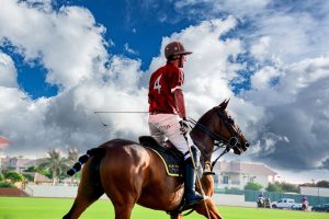 Woman Cloud Horse Sky Polo Halter 1668256 Pxhere.com  300x200