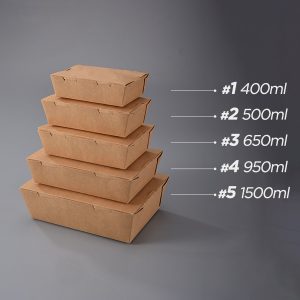 Why Is It Good To Use Paper Bags 300x300